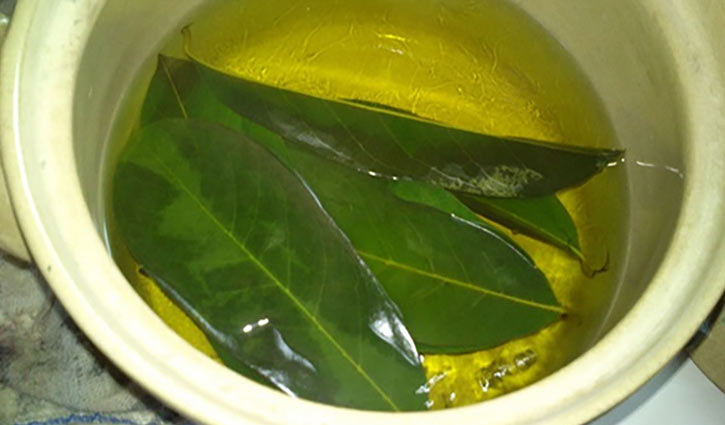 Mango leaves are essential vitamins and nutrients